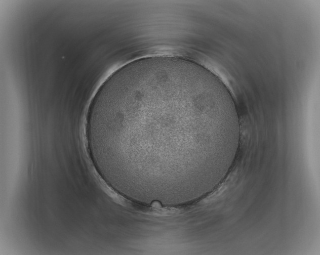 X0000110891091200906251312