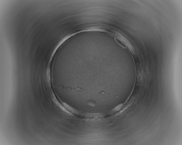 X0000110891092200906251312