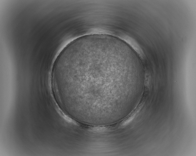 X0000110891094200906251312