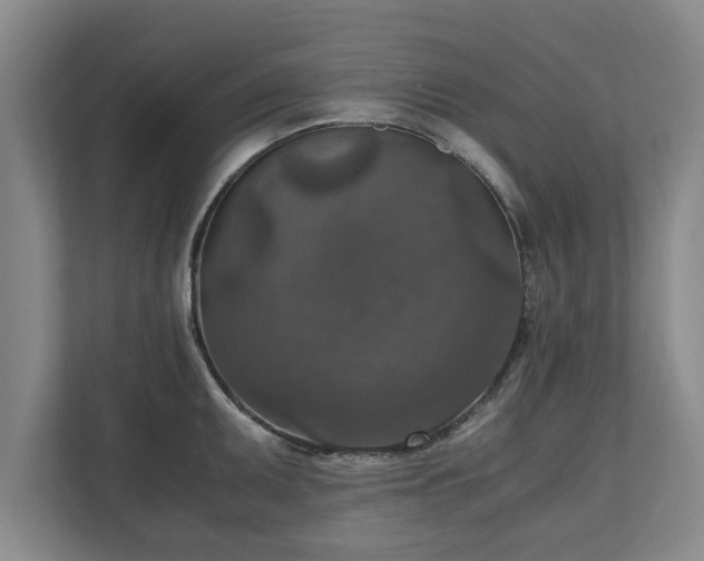 X0000110891095200906251312