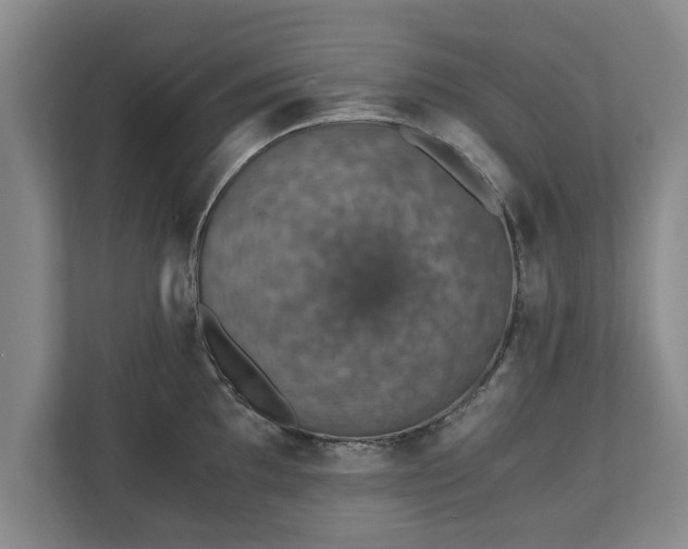 X0000110891097200906251312