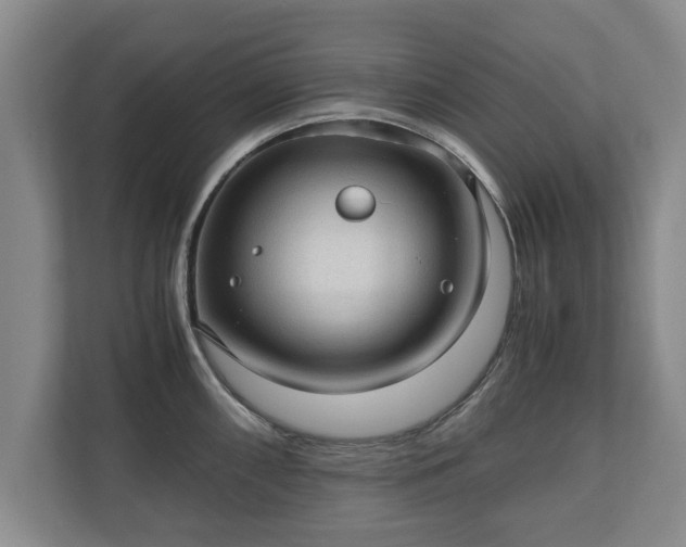 X0000110891098200906251312