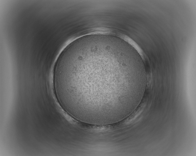 X0000110891099200906251312