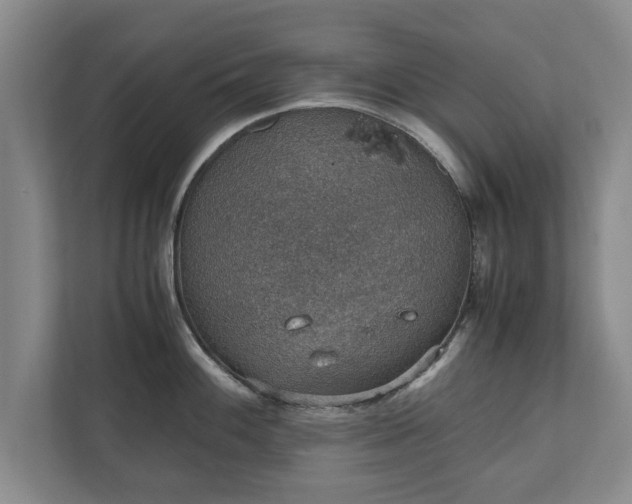 X0000110891100200906251312