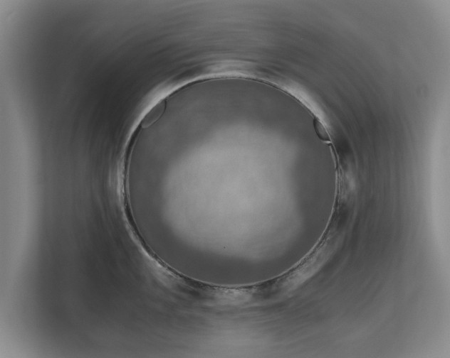 X0000110891101200906251312