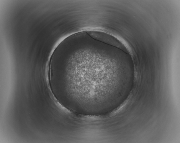 X0000110891102200906251312