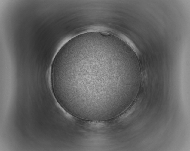 X0000110891103200906251312