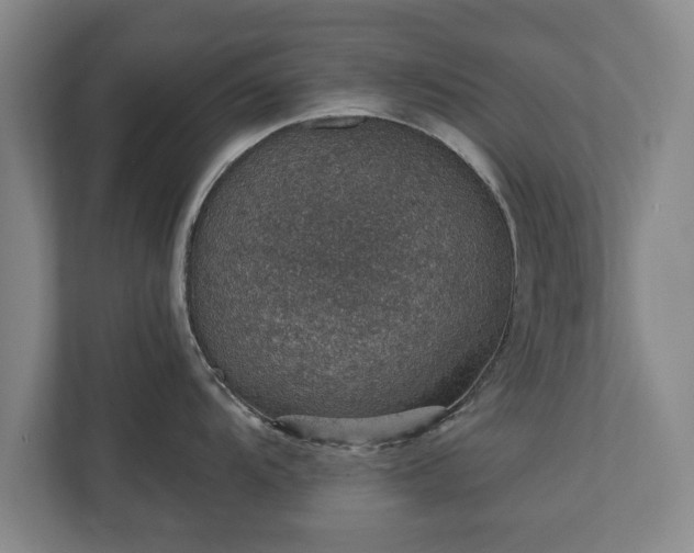 X0000110891104200906251312