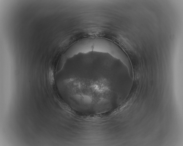 X0000110891106200906251312