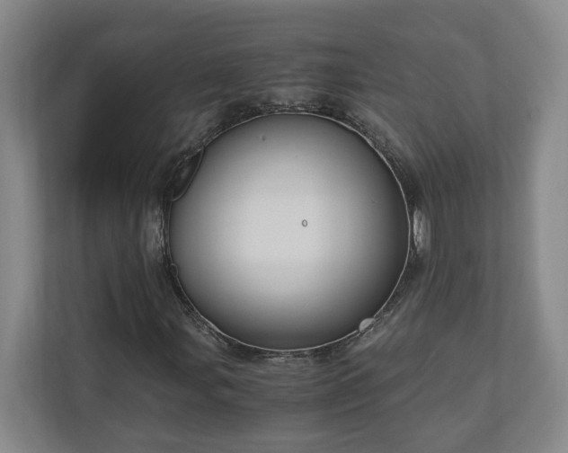 X0000110891107200906251312