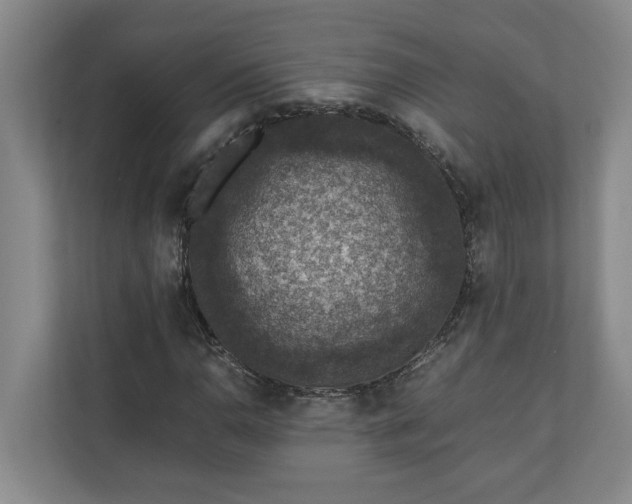 X0000110891110200906251312