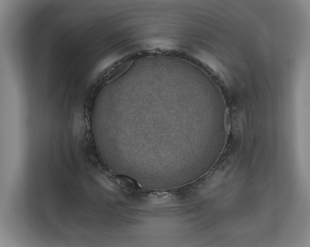X0000110891112200906251312