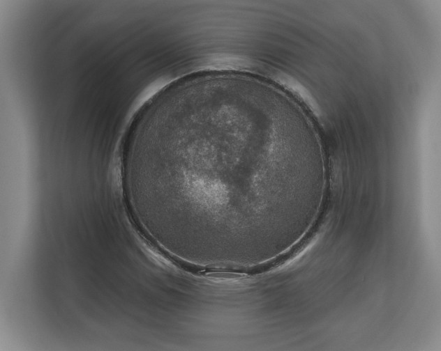 X0000110891114200906251312