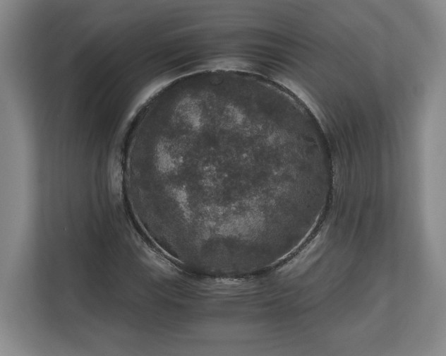 X0000110891115200906251312