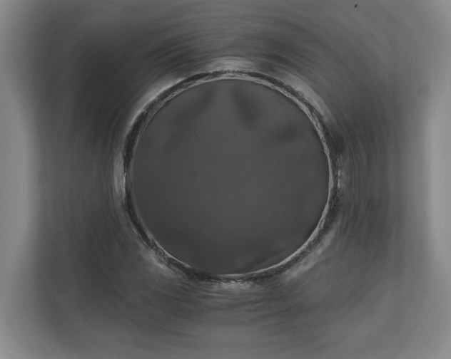 X0000110891117200906251312