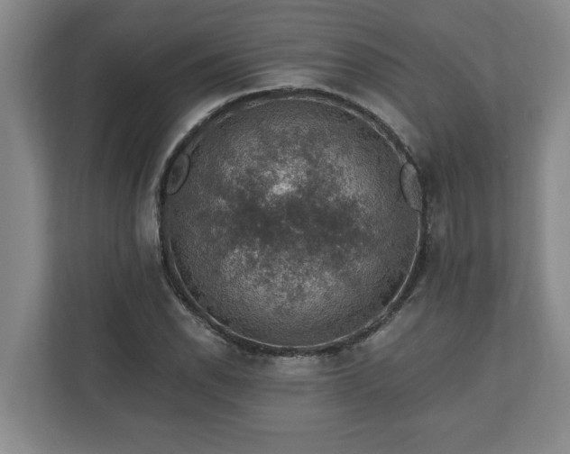 X0000110891118200906251312