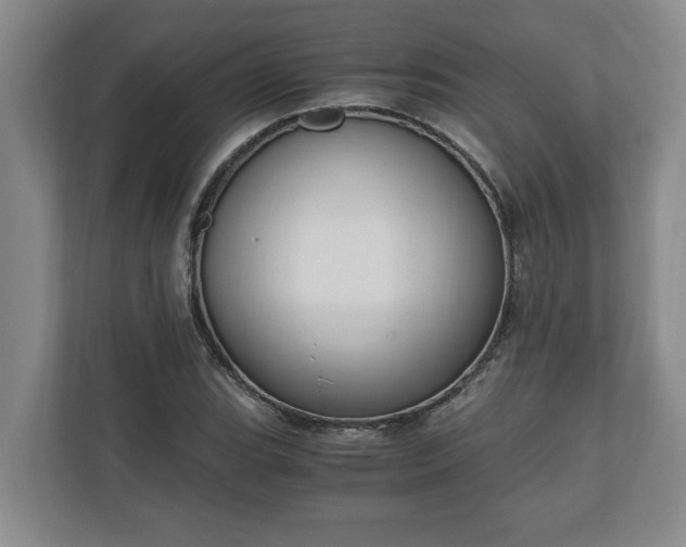 X0000110891119200906251312