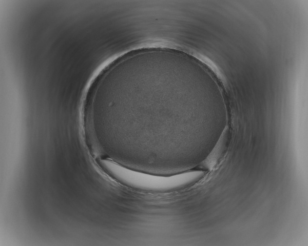 X0000110891120200906251312