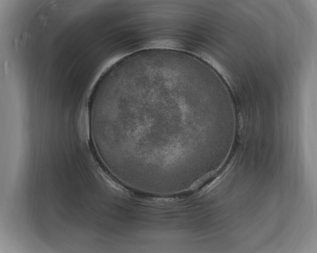 X0000110891123200906251312