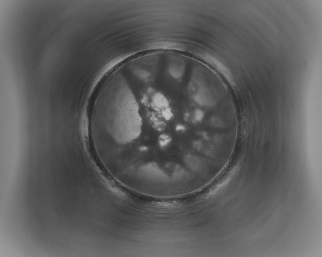 X0000110891125200906251312