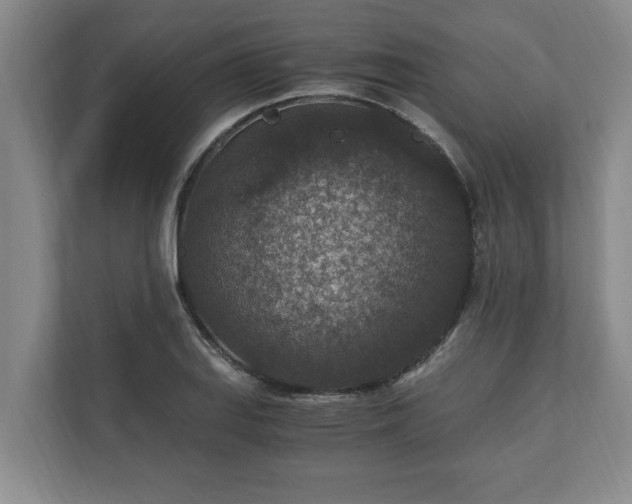 X0000110891127200906251312
