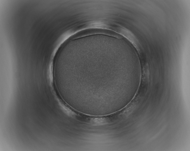 X0000110891128200906251312