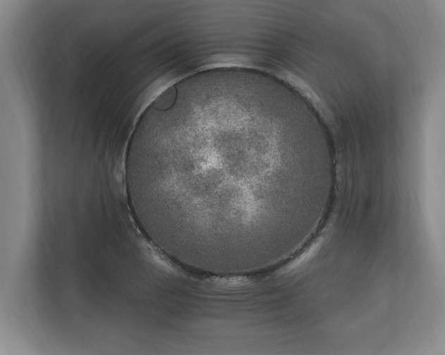 X0000110891129200906251312