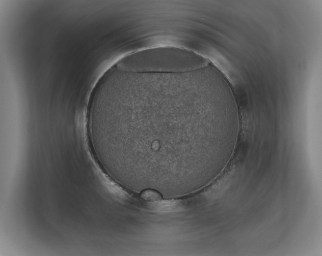 X0000110891134200906251312