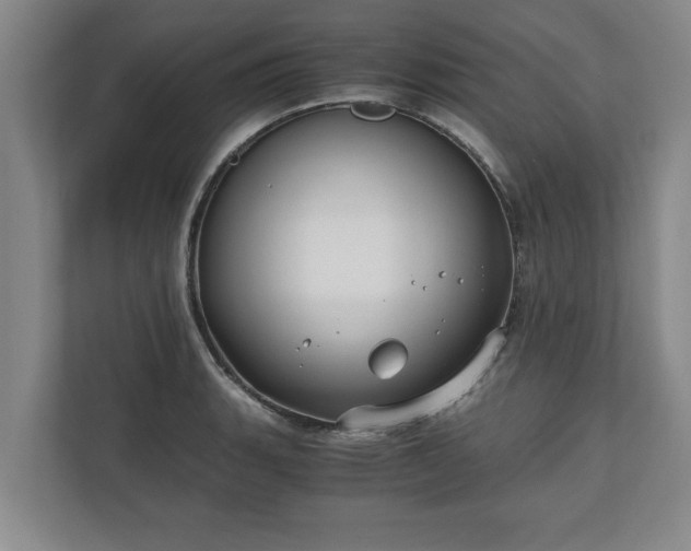 X0000110891135200906251312