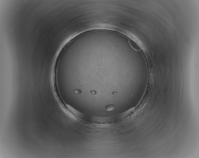 X0000110891136200906251312