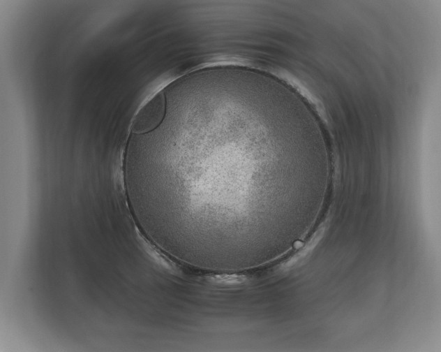X0000110891137200906251312