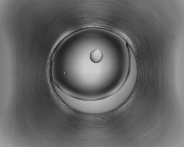 X0000110891138200906251312