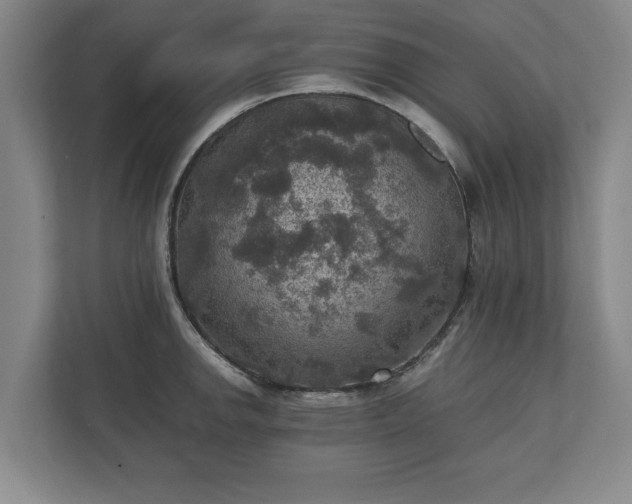 X0000110891142200906251312