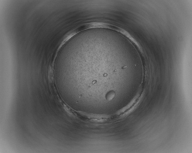 X0000110891145200906251312