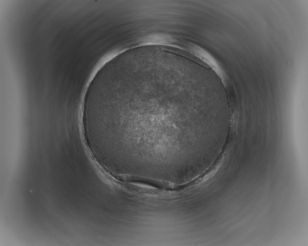 X0000110891146200906251312