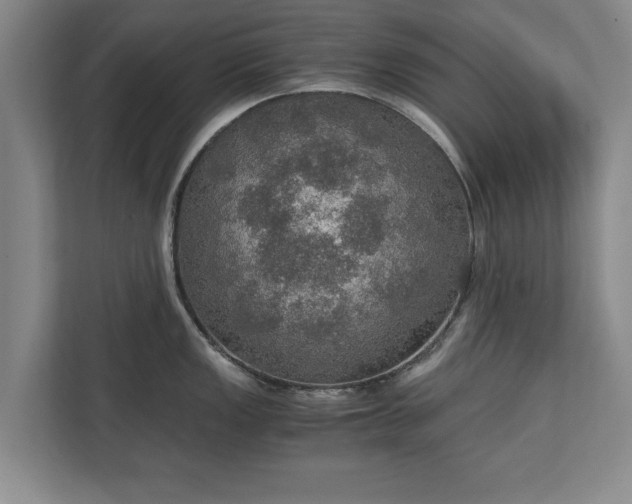 X0000110891149200906251312