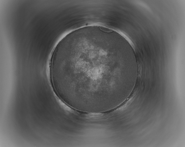 X0000110891151200906251312