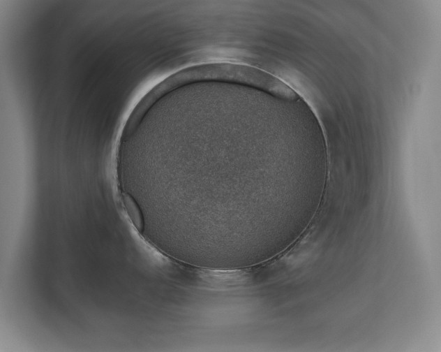 X0000110891152200906251312