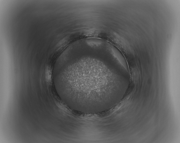 X0000110891154200906251312