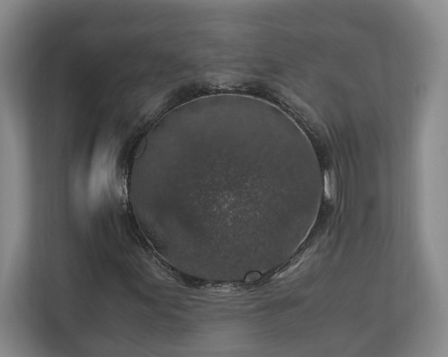 X0000110891155200906251312