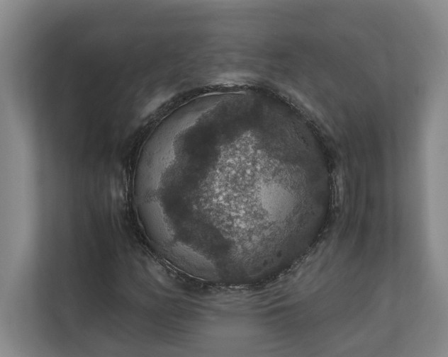 X0000110891158200906251312