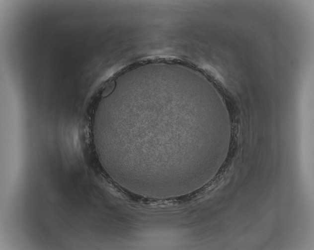 X0000110891159200906251311