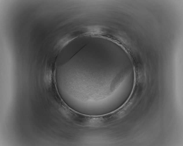 X0000110891161200906251311