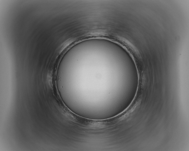 X0000110891162200906251311