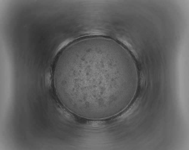 X0000110891163200906251311