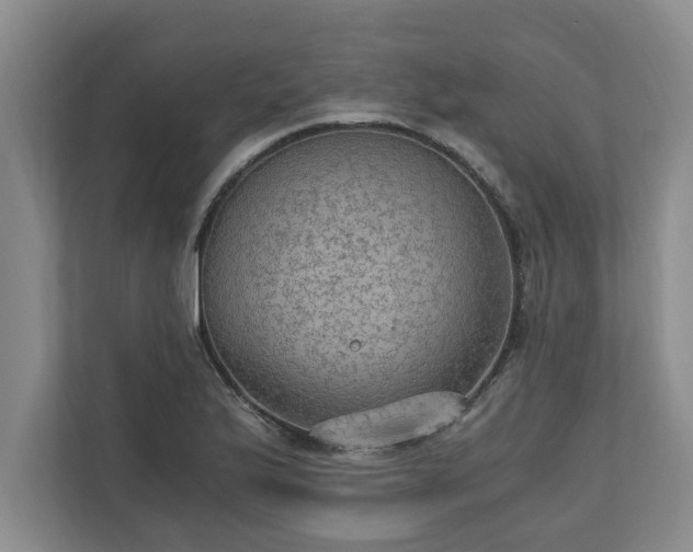 X0000110891175200906251311