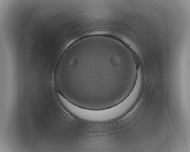 X0000110891177200906251311