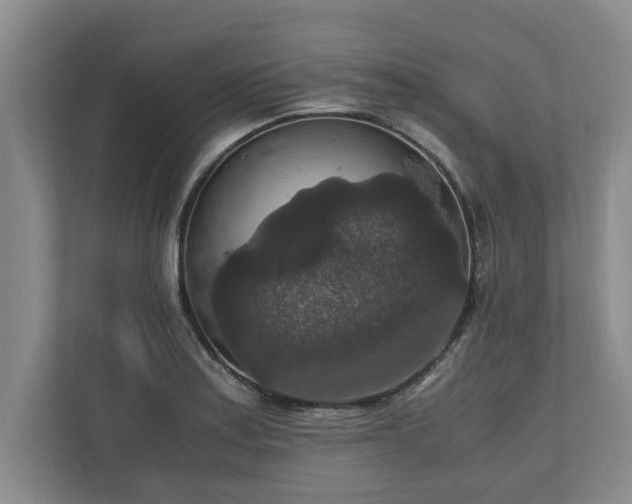 X0000110891179200906251311
