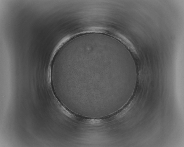 X0000110891180200906251311