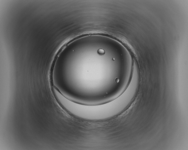 X0000110891181200906251311